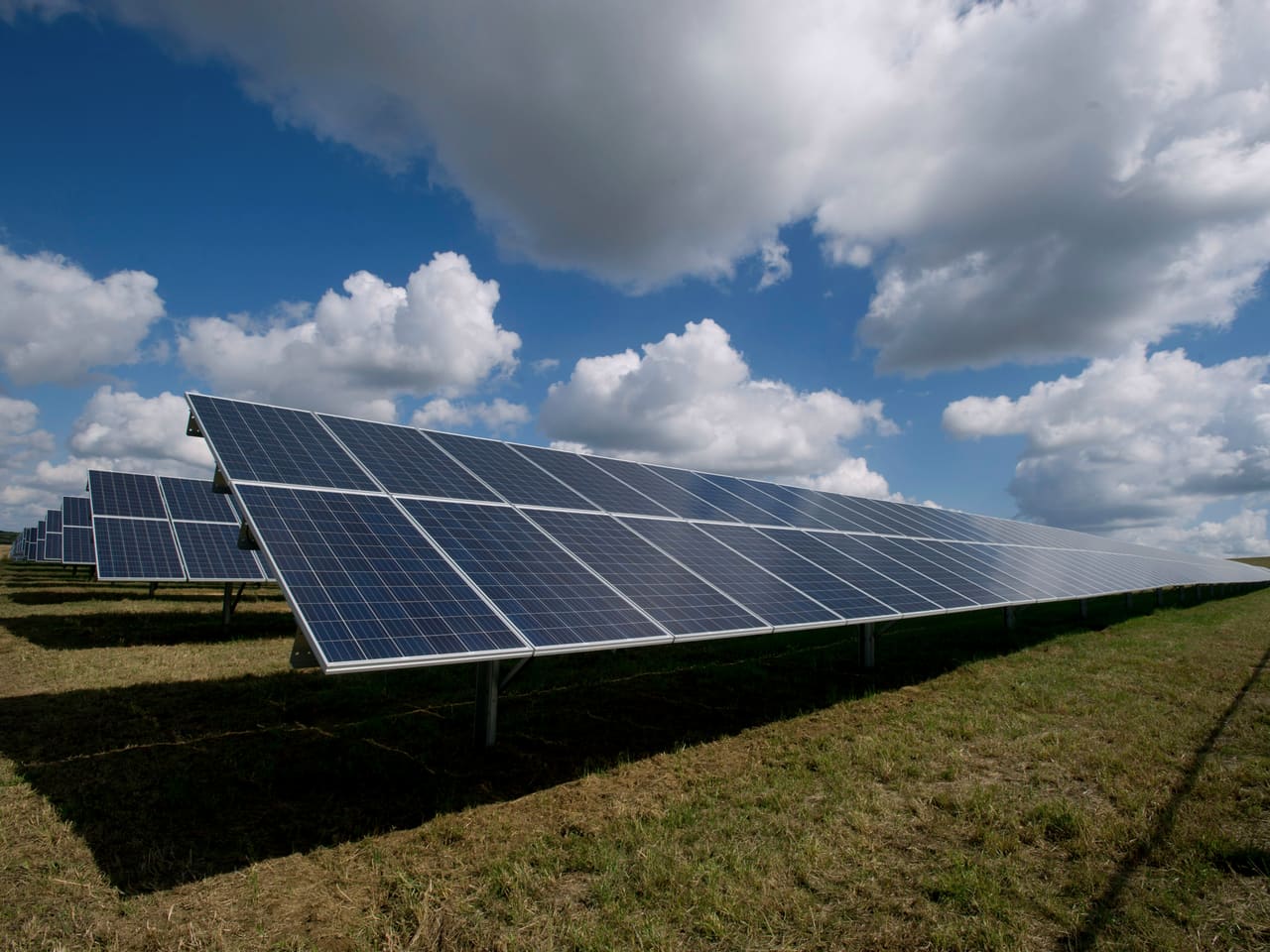 Une centrale solaire au sol de taille industrielle installée sur une prairie.